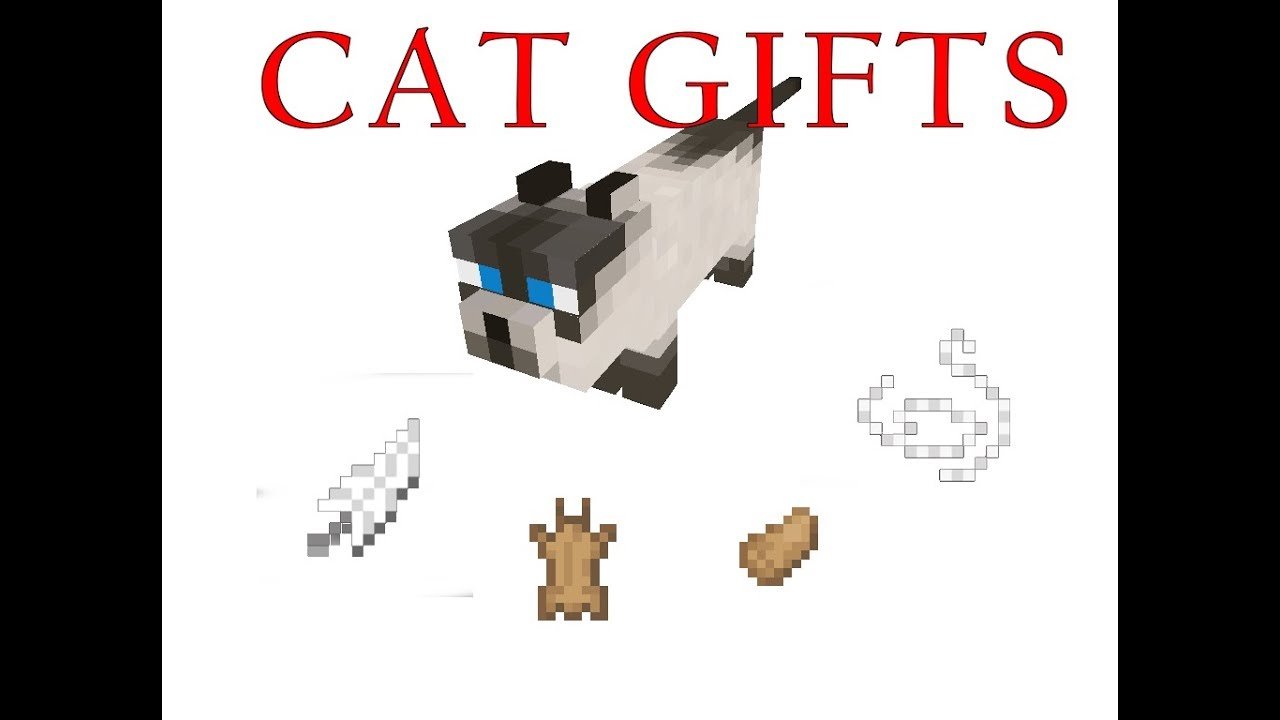 How to get a gift from a cat in minecraft